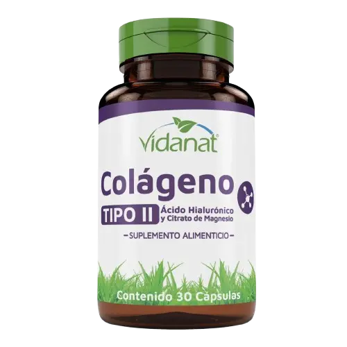 Colágeno tipo II c. Ácido Hialurónico y Citrato de Magnesio caps 30 (vidanat)